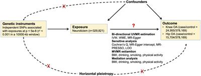 Dissecting the causal relationship between neuroticism and osteoarthritis: a univariable and multivariable Mendelian randomization study